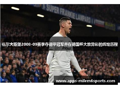伍尔夫斯堡2008-09赛季夺德甲冠军并在德国杯大放异彩的辉煌历程
