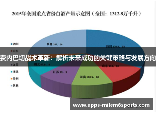 费内巴切战术革新：解析未来成功的关键策略与发展方向